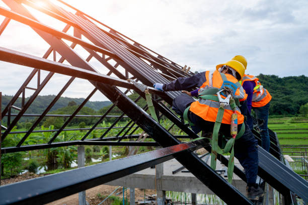 Best Roof Gutter Cleaning  in Green Valley, CA